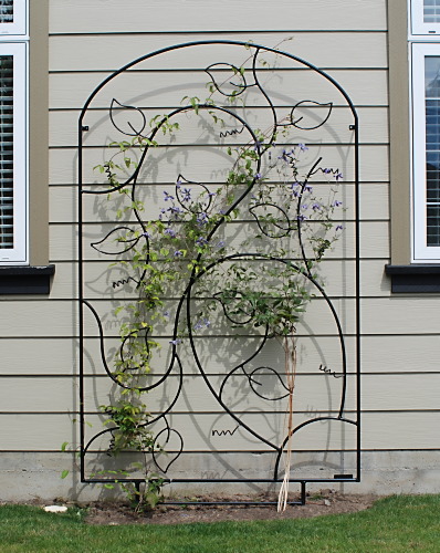 Metal Art - Garden Gate & Trellis