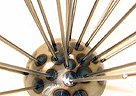 Link To Sea Urchin