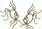 Link To Small Fantails