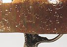 Link To Tree Lamp